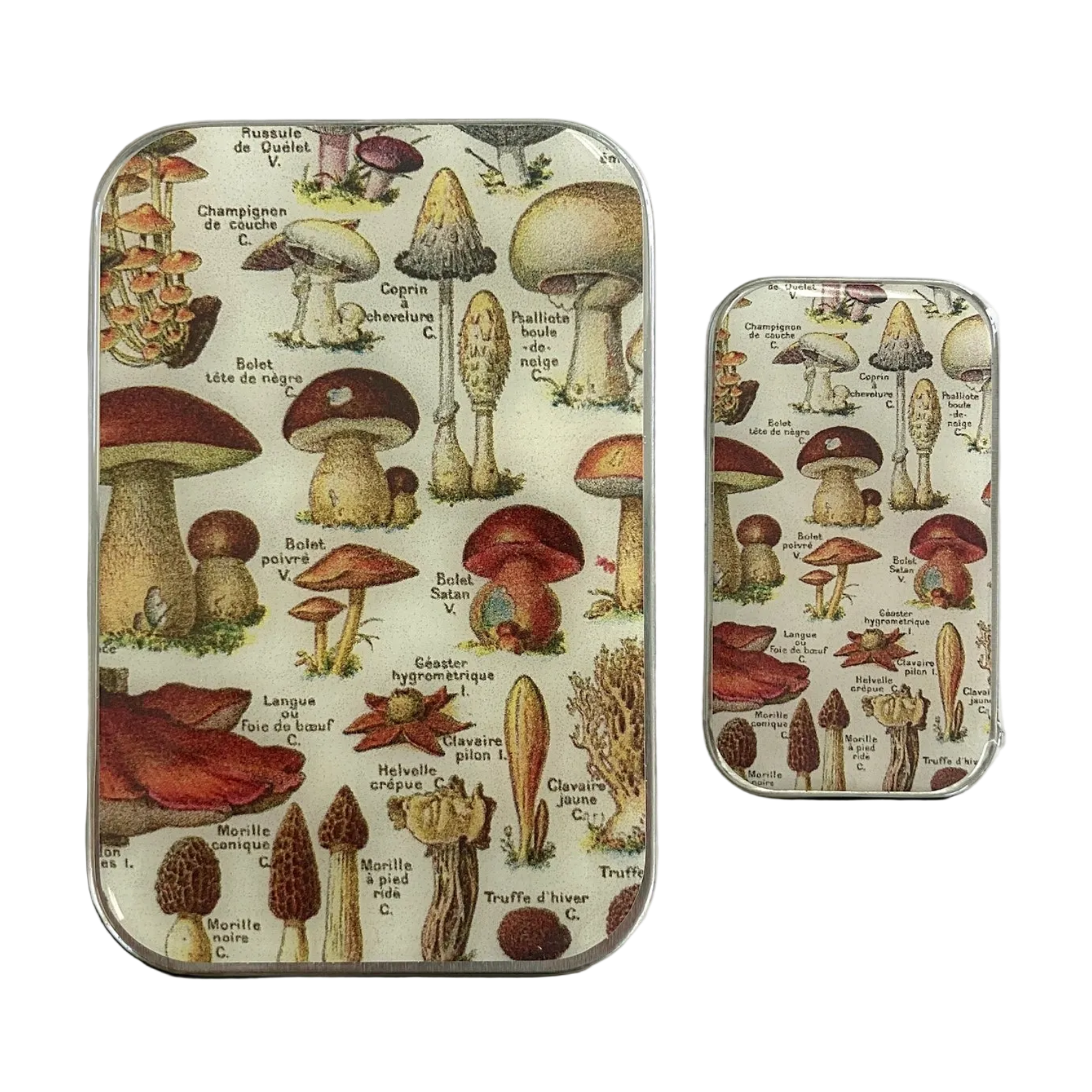 Mushroom Storage Tin