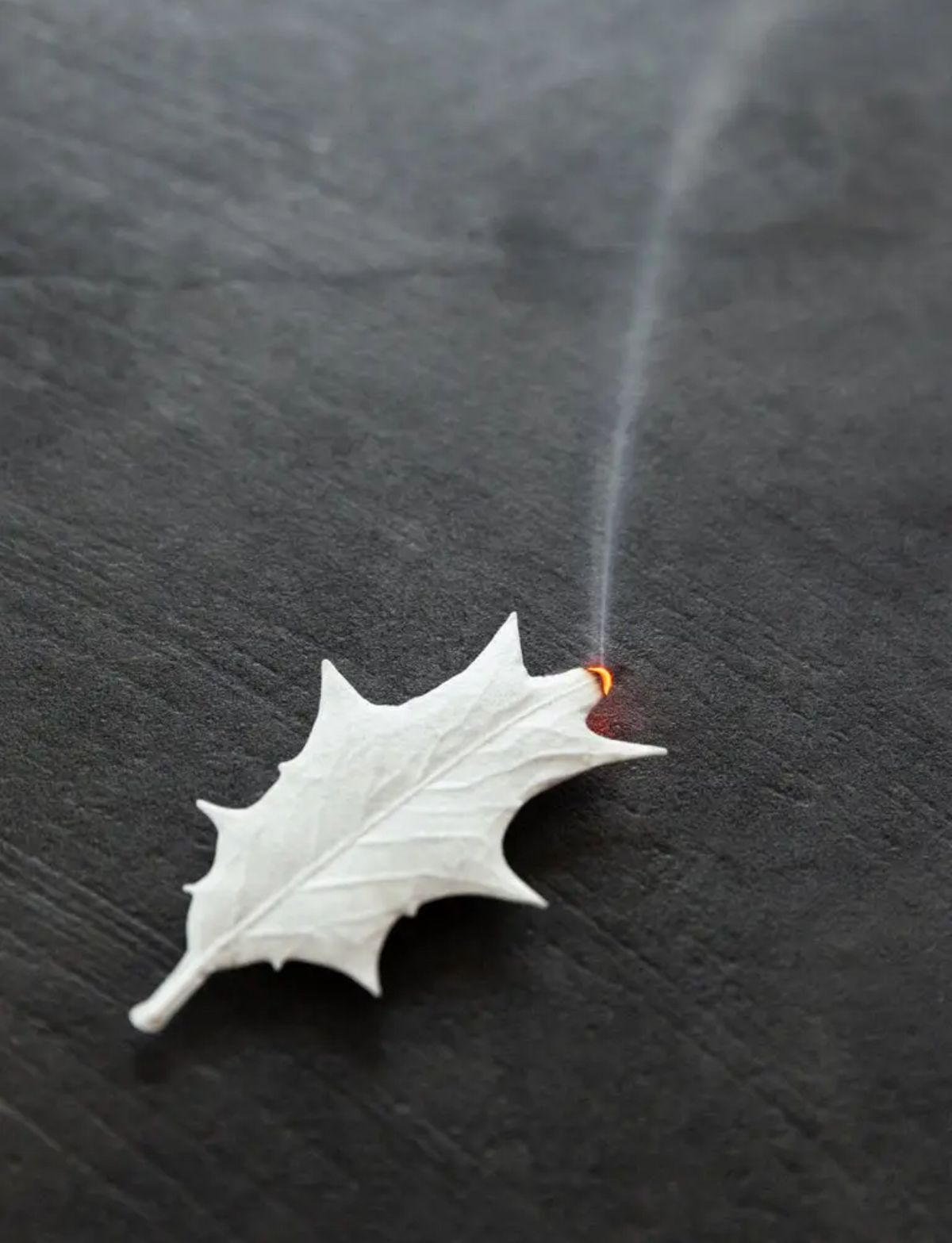 Ha Ko Paper Incense - Winter, Fir Tree
