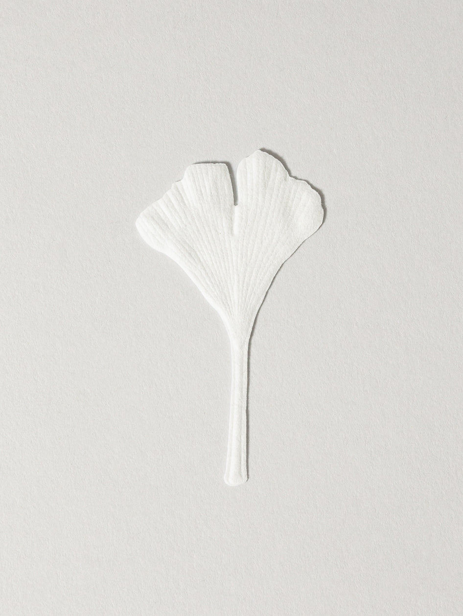 Ha Ko Paper Incense - Autumn, Fennel