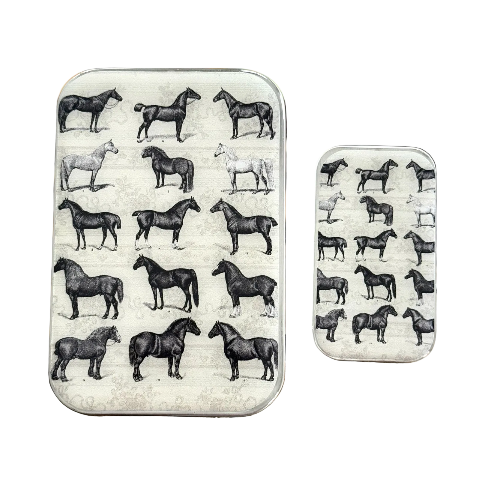 Study of Horses Notions Tin