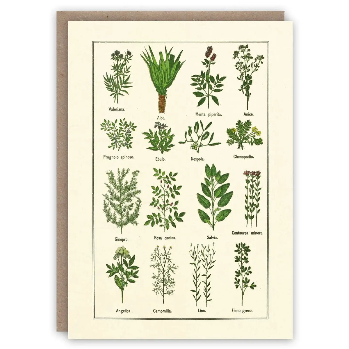 Healthy Herbs Card