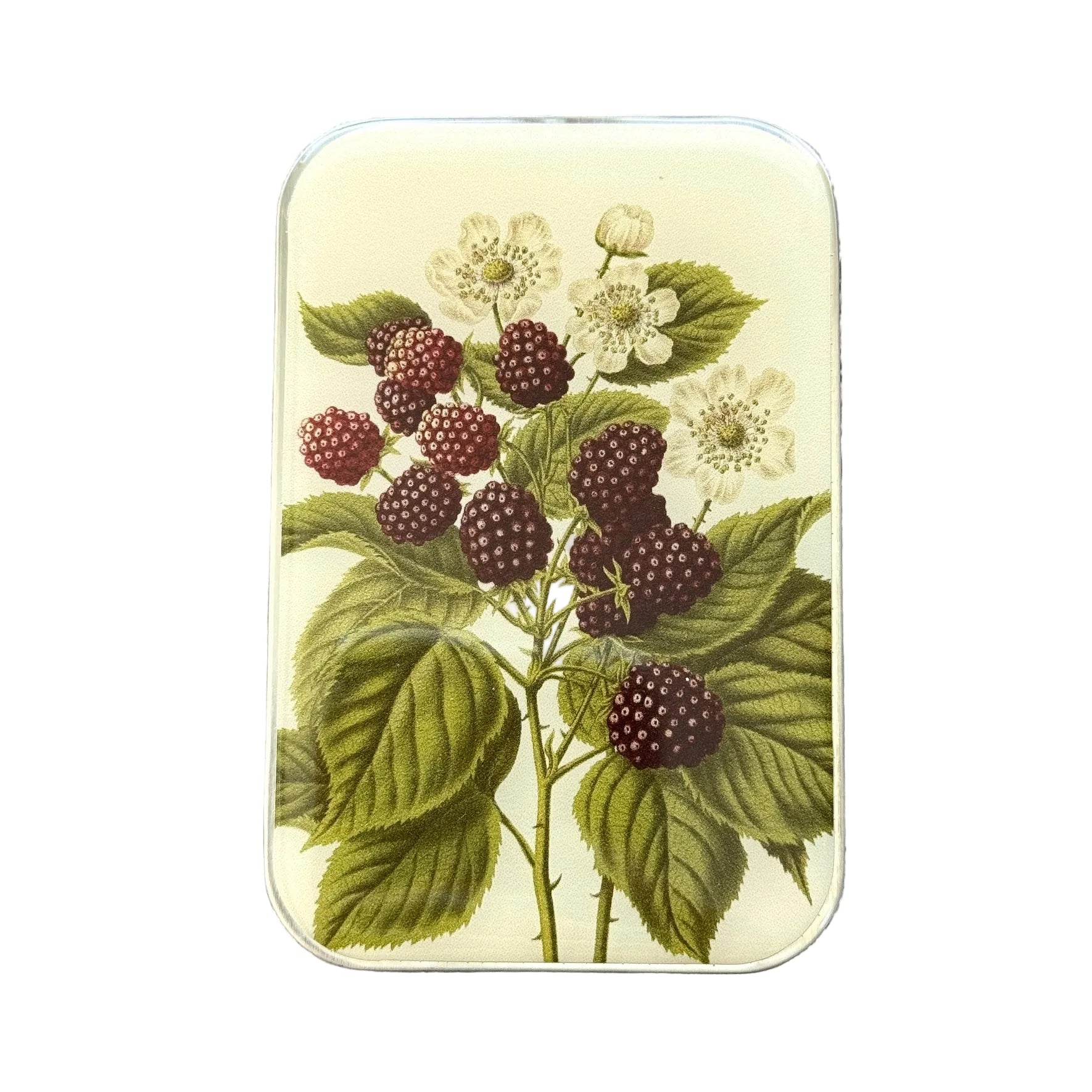 Wild Blackberry Botanical Notions Tin