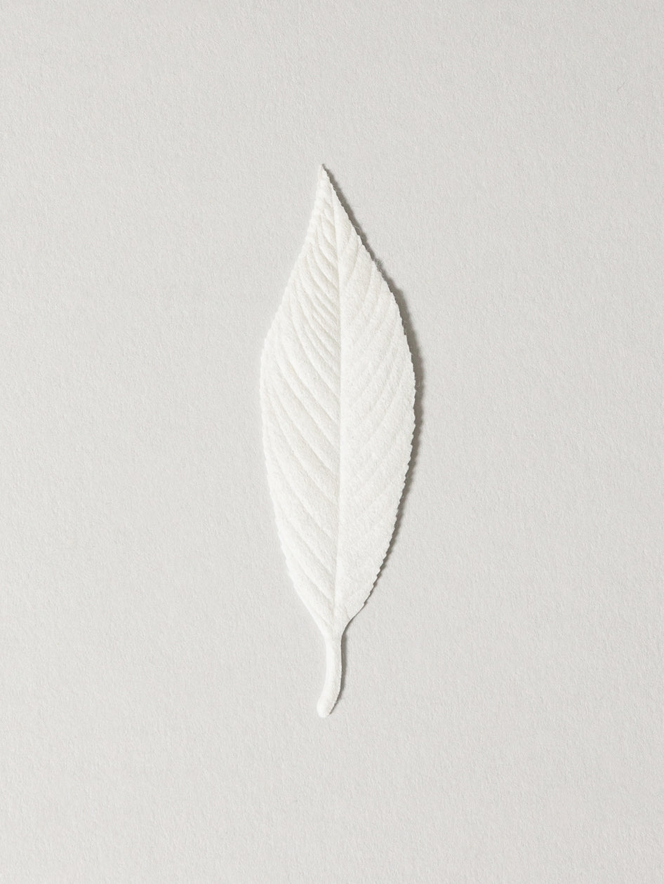 Ha Ko Paper Incense - Moss