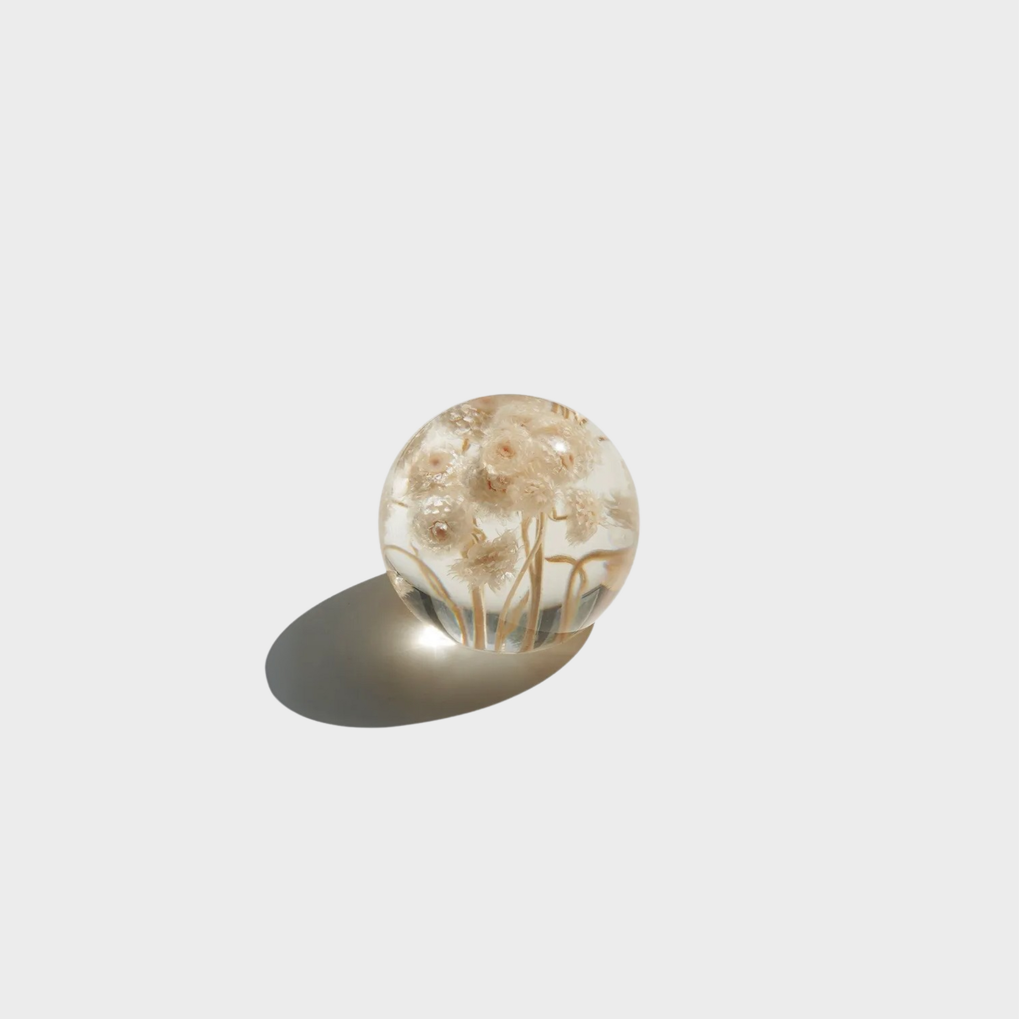 [Mixtureshop] Immortal Ball Paperweight