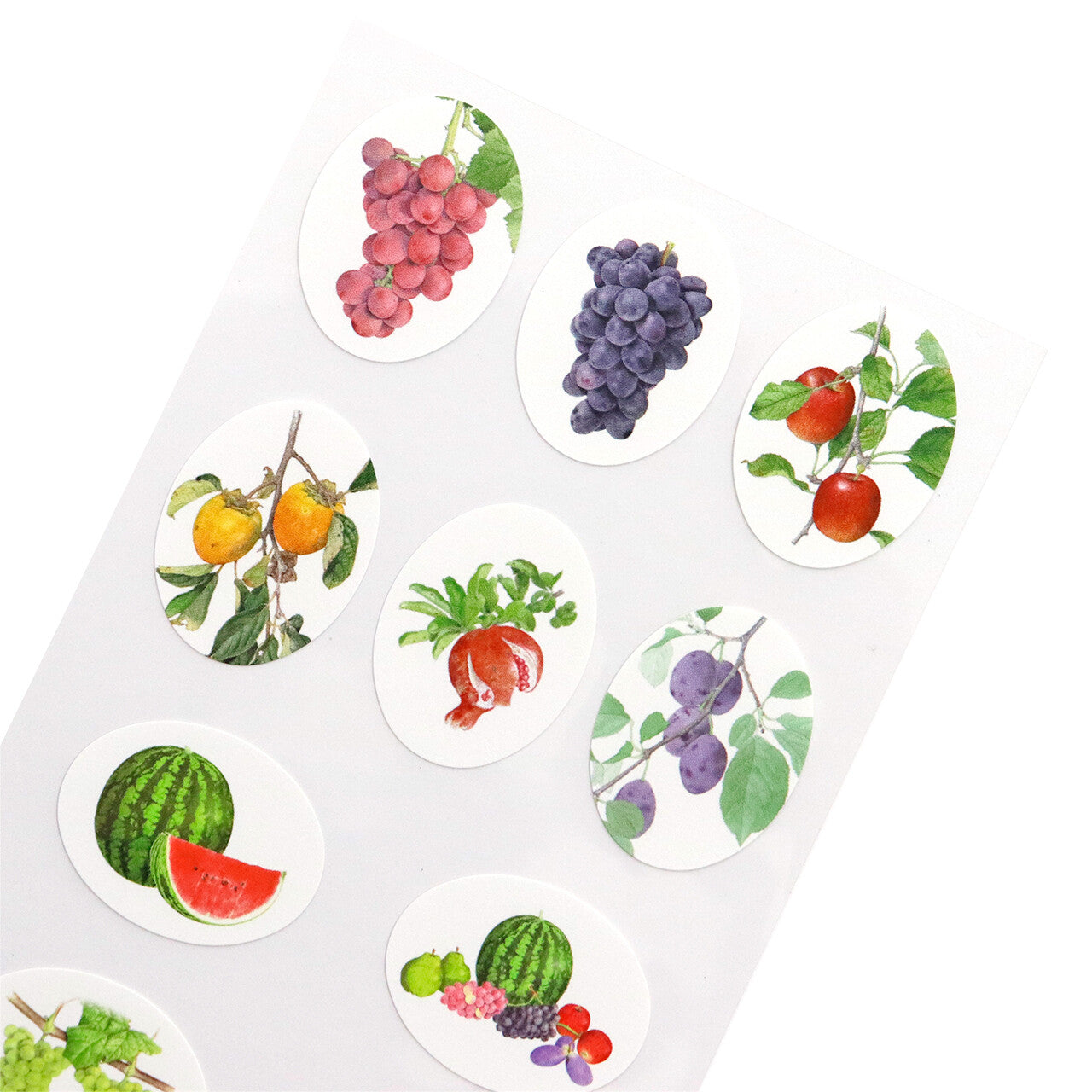 Saien Fruit Series Stickers