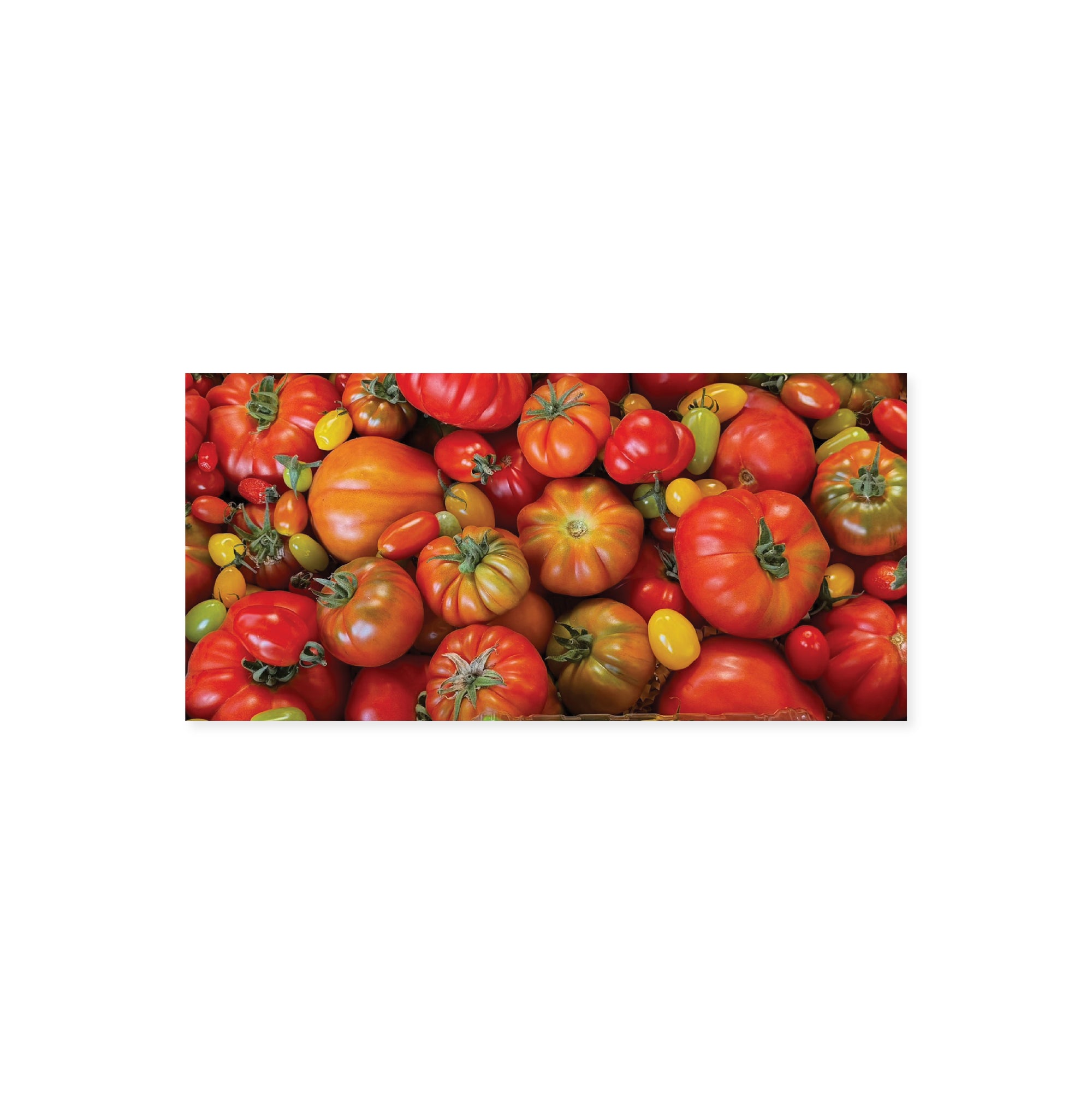 HEIRLOOM TOMATO POSTCARD