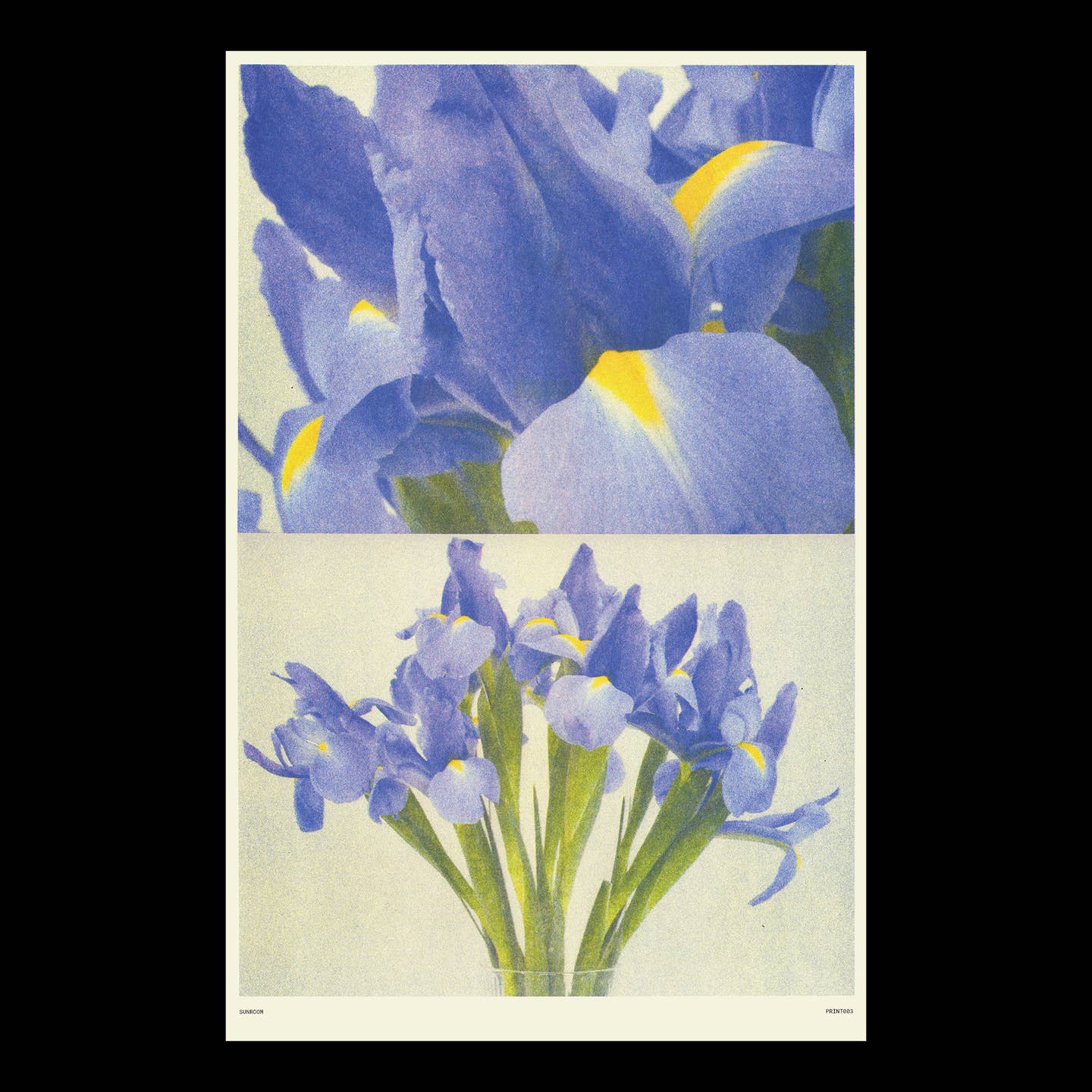 Iris Risograph Print Art Print Poster