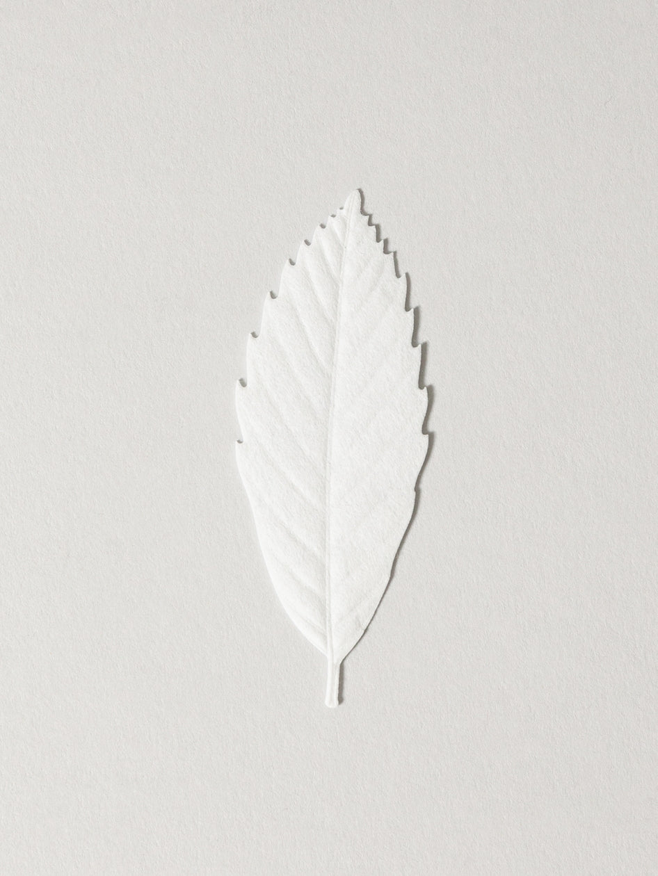 Ha Ko Paper Incense - Cedar