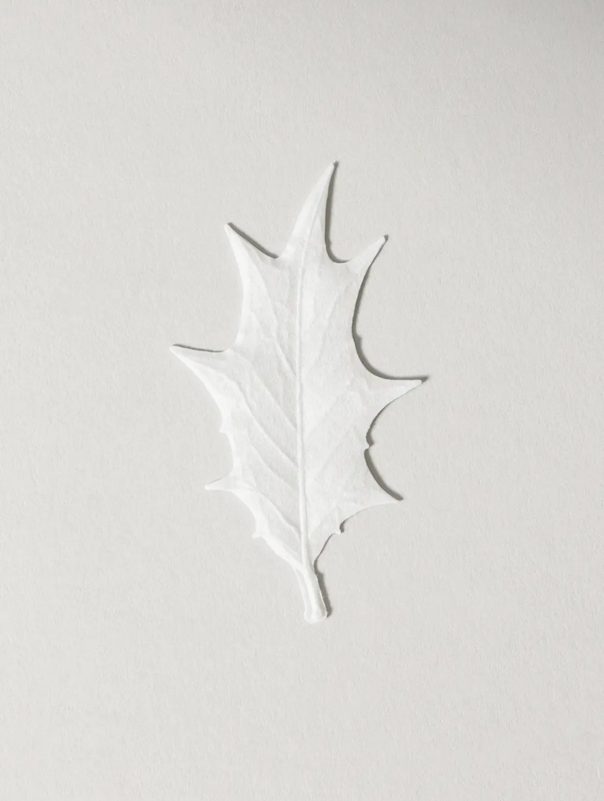 Ha Ko Paper Incense - Winter, Fir Tree
