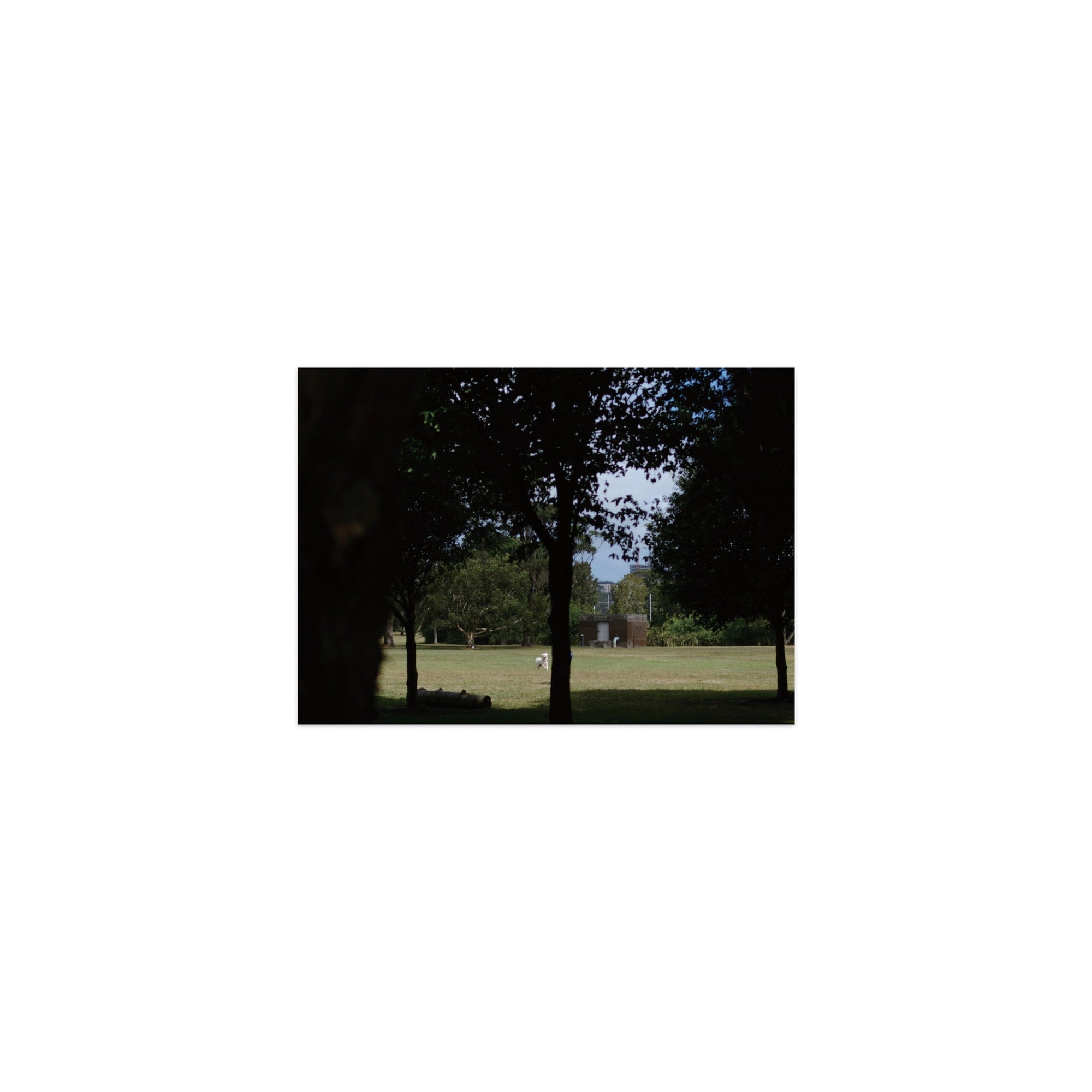 Hyde Park Postcard