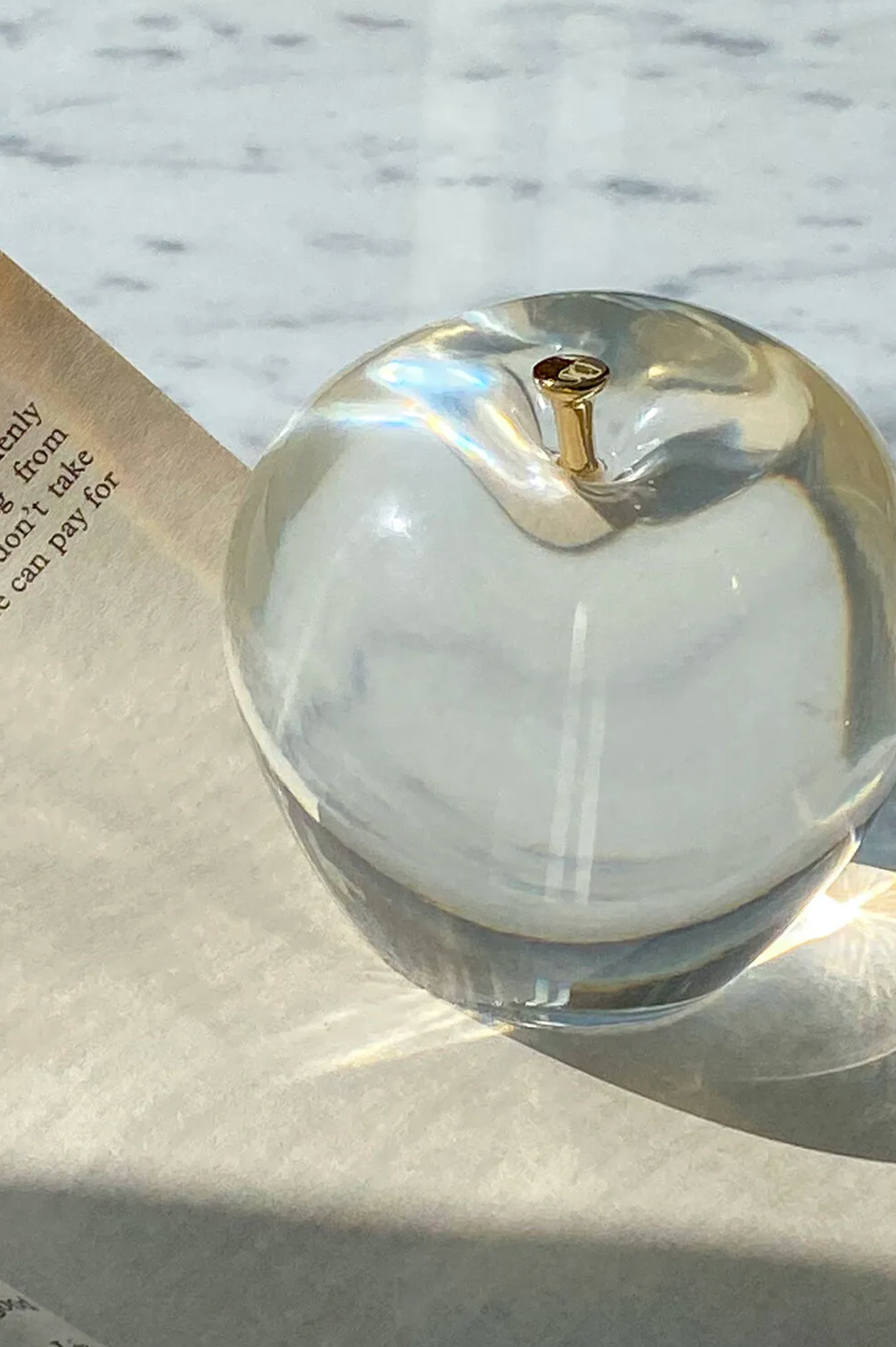 [Mixtureshop] Vintage Apple Paperweight