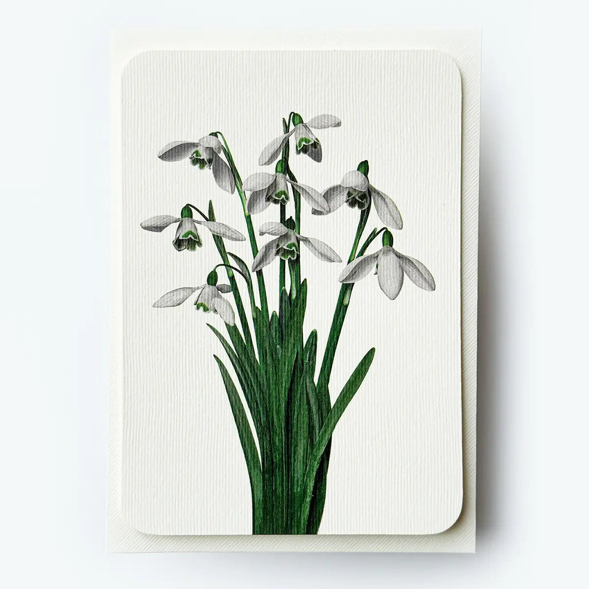 Snowdrops Greeting Card
