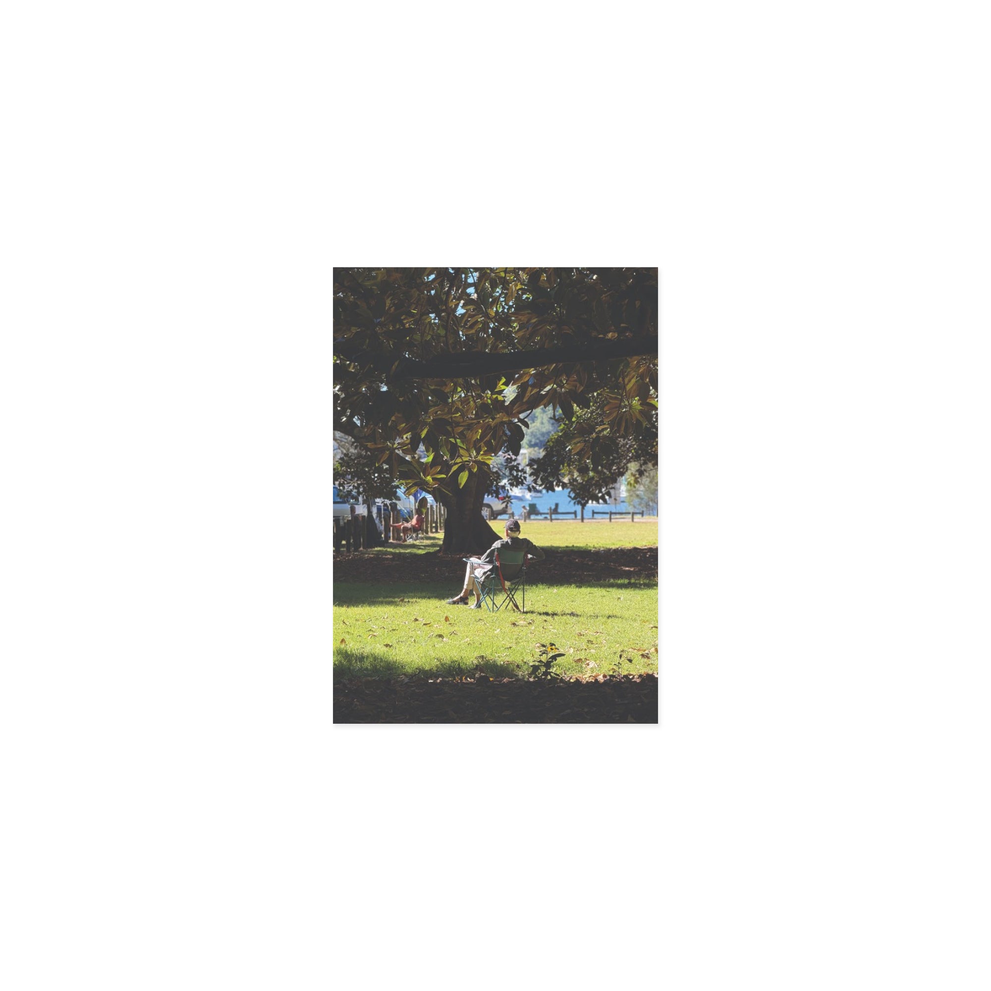 Park Chair Postcard
