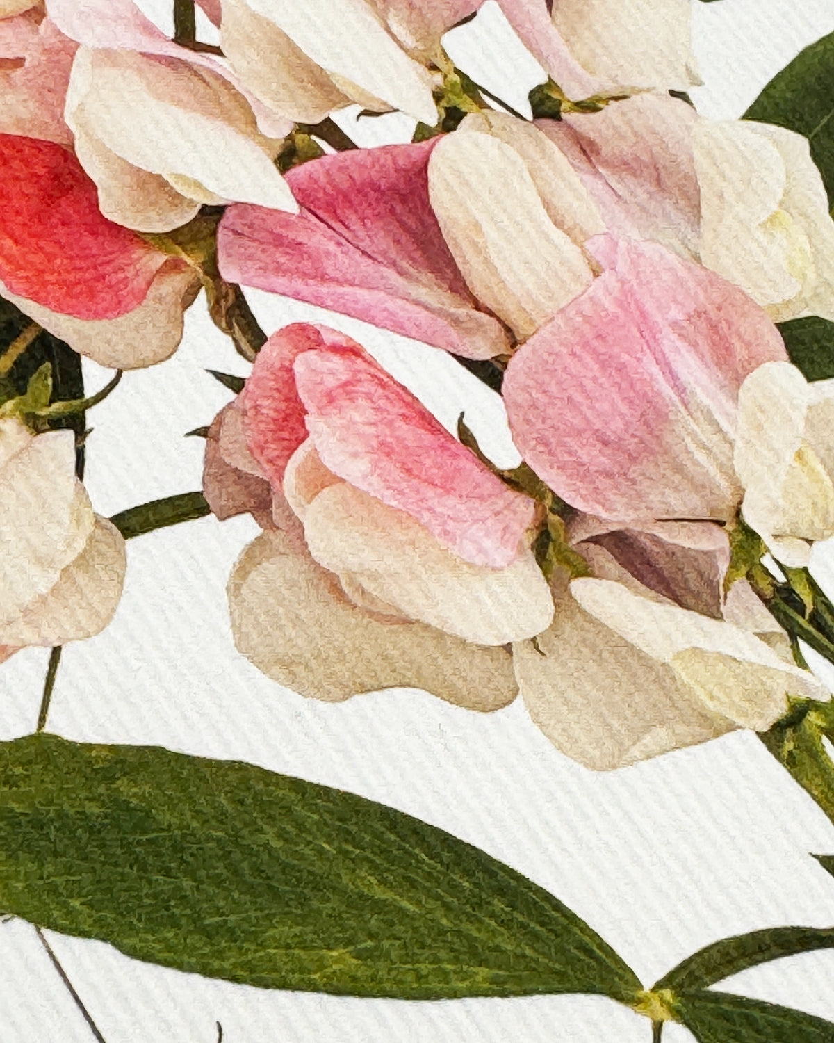 Love Greeting Card