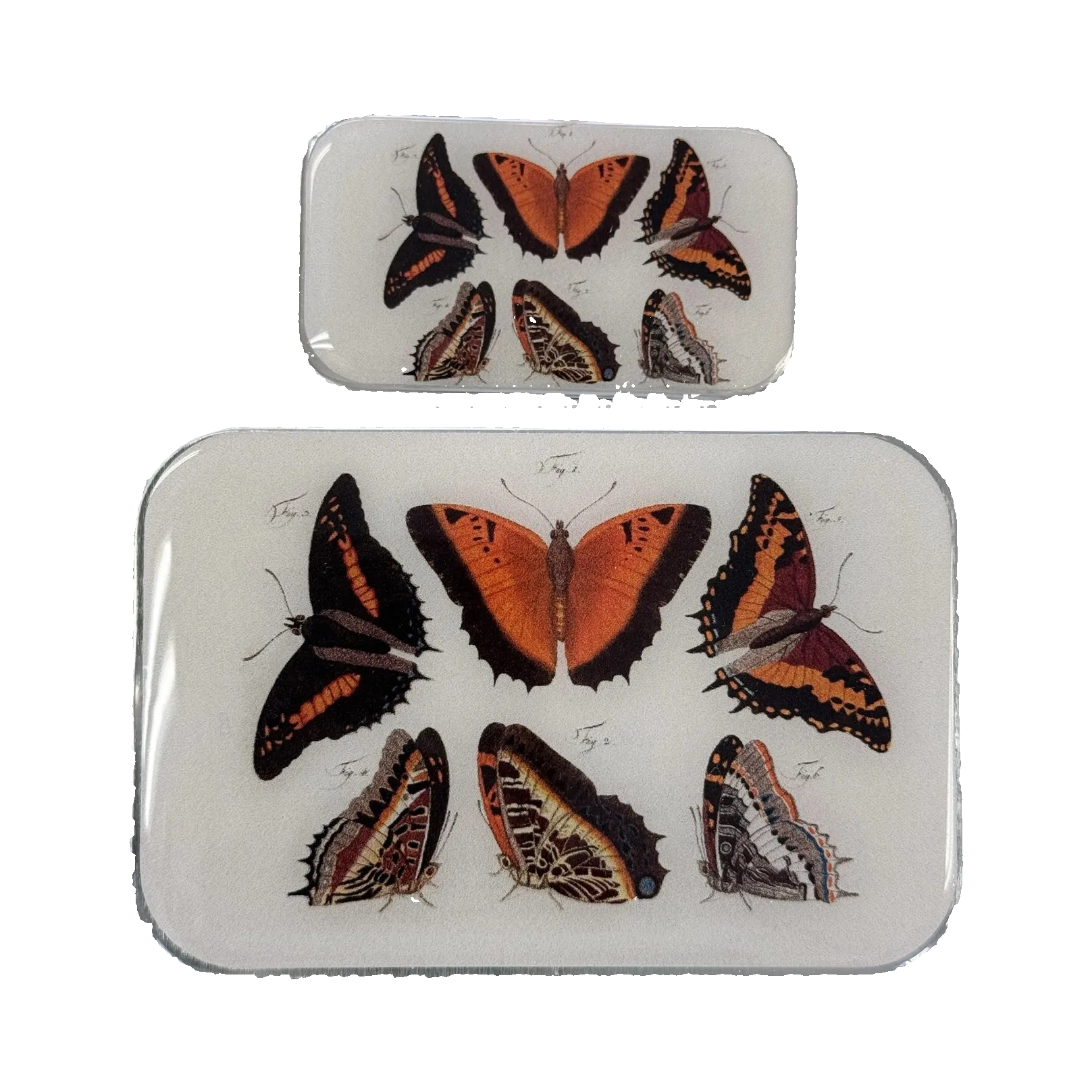Orange Butterflies Notions Tin