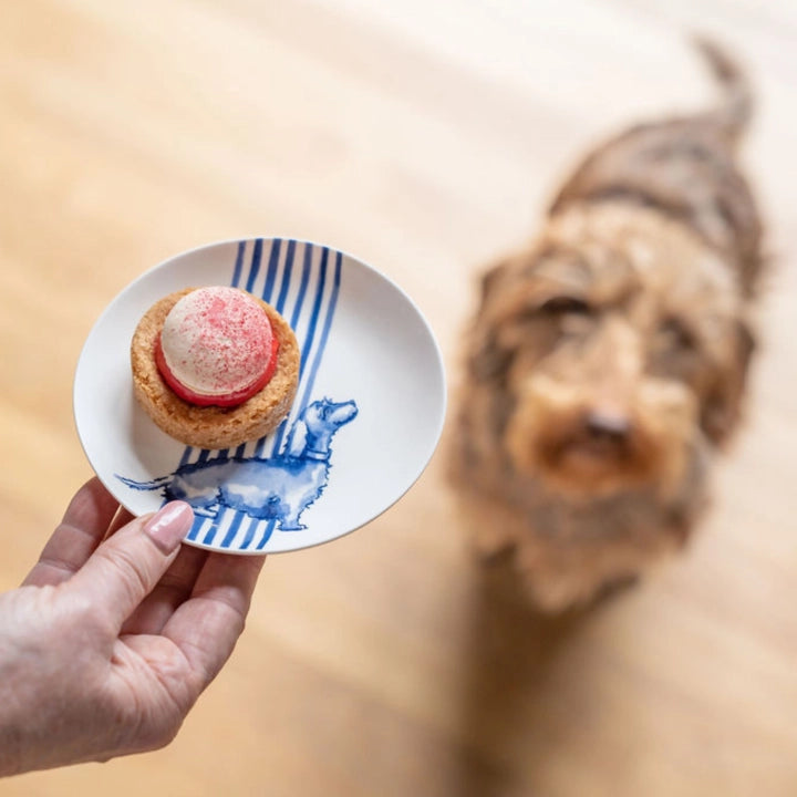Petit Four Dachshund Naan Plate