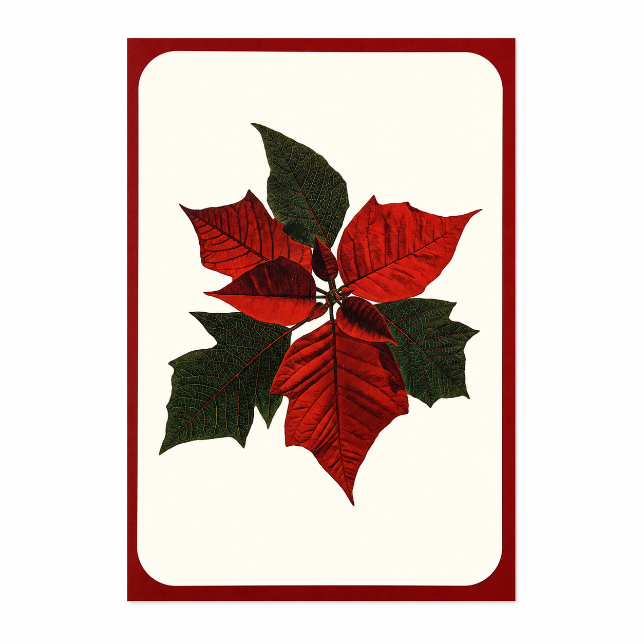 Christmas Greeting Card