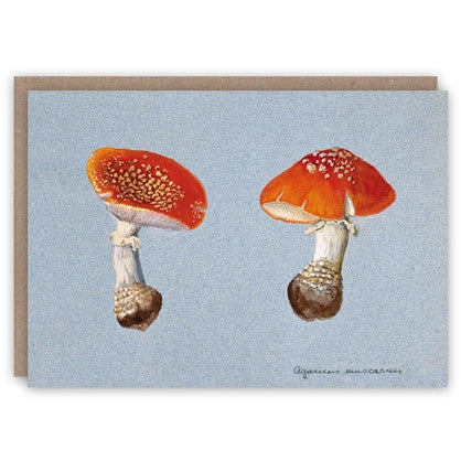 Fly Agaric Mushroom Card