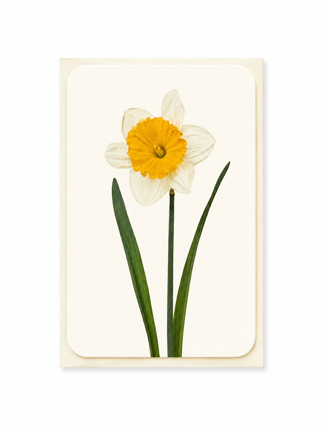 Flower Greeting Card
