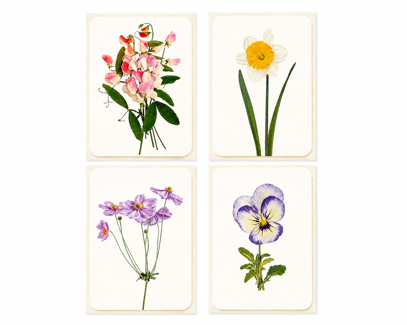 Flower Greeting Card