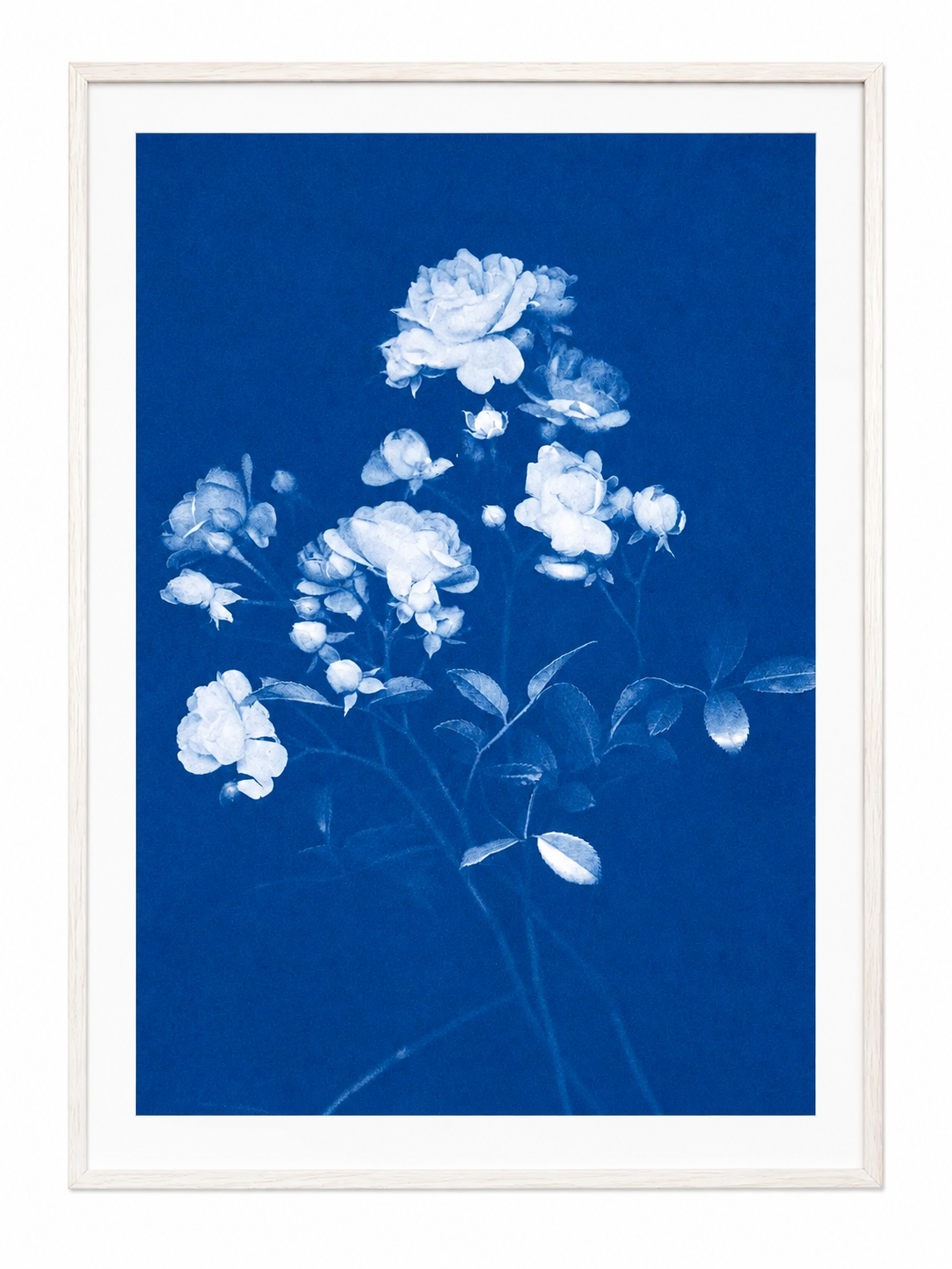 Rose Art Print Poster